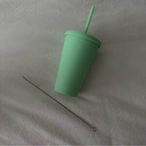 Mint Green Tumbler with Straw